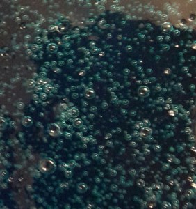 20150501_234921-1[1]