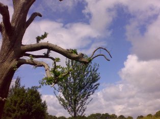 2007-06-29_130138_29062007027