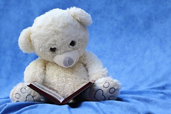 still-life-teddy-white-read